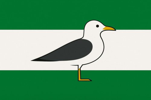 Rotterdams stadvogel, de mantelmeeuw